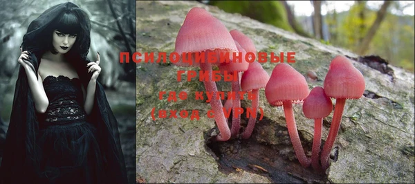 MDMA Бородино